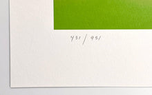 Load image into Gallery viewer, Bath Print James Jean