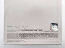 Load image into Gallery viewer, Changbai Mountain Figure (Snowy White) Vinyl Figure KAWS