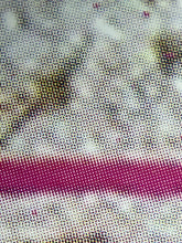 Load image into Gallery viewer, Charlie Chaplain New York Print Mr. Brainwash