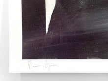 Load image into Gallery viewer, Chinese Porcelain Jar Print Florian Eymann