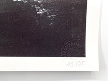 Load image into Gallery viewer, Chinese Porcelain Jar Print Florian Eymann