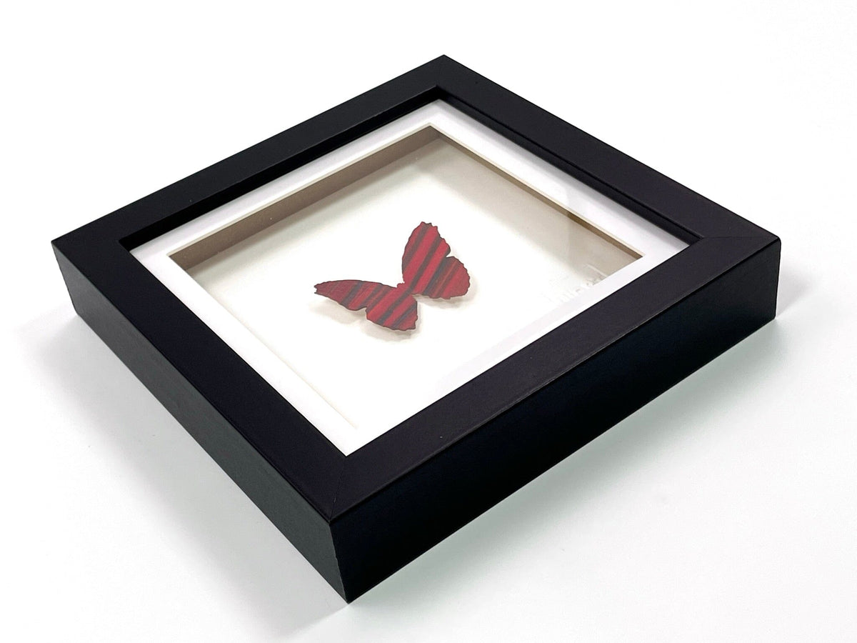Mini Butterfly #83 (Framed) – Post Modern Vandal