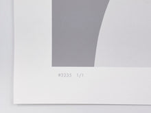 Load image into Gallery viewer, Cyber Bandit #3235 (Unique) Print Michael Reeder