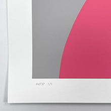 Load image into Gallery viewer, Cyber Bandit #4737 (Unique) Print Michael Reeder