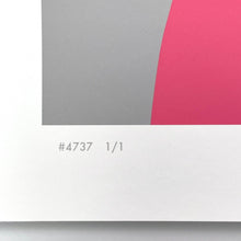 Load image into Gallery viewer, Cyber Bandit #4737 (Unique) Print Michael Reeder