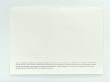 Load image into Gallery viewer, Debris Print - Hand Embellished Vhils