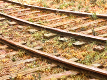 Load image into Gallery viewer, Delayed Print Aron Wiesenfeld