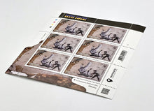 Load image into Gallery viewer, FCK PTN Stamp Set (6 Stamps) Media Banksy