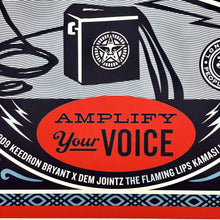 Load image into Gallery viewer, Flood: Save our Stages Print Shepard Fairey