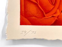 Load image into Gallery viewer, Gemela 1 Print Gustavo Rimada