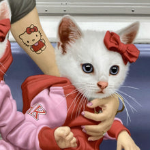 Load image into Gallery viewer, Hello Kitties Print Matthew Grabelsky