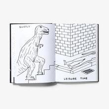 Load image into Gallery viewer, I Am The Jug You Are The Glass (1st Edition) Book/Booklet David Shrigley