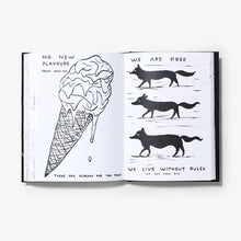 Load image into Gallery viewer, I Am The Jug You Are The Glass (1st Edition) Book/Booklet David Shrigley
