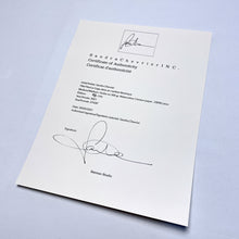 Load image into Gallery viewer, La Cage Dans un Combat Electrique Print Sandra Chevrier