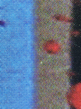 Load image into Gallery viewer, Max Spray Print Mr. Brainwash