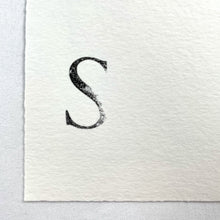 Load image into Gallery viewer, Monkey Parliament IV Print Mason Storm