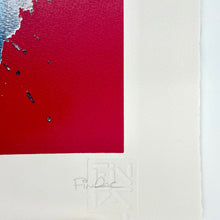 Load image into Gallery viewer, Mossiae Print Fin DAC