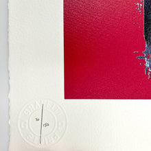 Load image into Gallery viewer, Mossiae Print Fin DAC