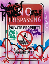 Load image into Gallery viewer, No Trespassing Painting Sonic Bad