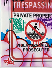 Load image into Gallery viewer, No Trespassing Painting Sonic Bad