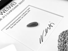 Load image into Gallery viewer, Porcelain Sunflower Seed From 2010 Exhibit (Framed) Ceramic Ai Weiwei