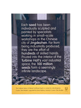 Load image into Gallery viewer, Porcelain Sunflower Seed From 2010 Exhibit(Framed) Ceramic Ai Weiwei