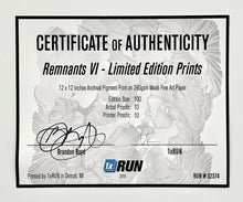 Load image into Gallery viewer, Remnants VI (Framed) Print Brandon Boyd