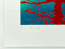 Load image into Gallery viewer, Retroflect Print James Jean