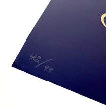 Load image into Gallery viewer, RUMI Print Cryptik