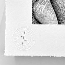 Load image into Gallery viewer, Solid Air (Hand-painted) Print - Hand Embellished Snik