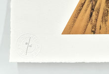 Load image into Gallery viewer, Sonyeo Print Fin DAC