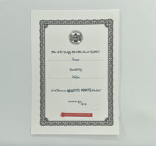 Load image into Gallery viewer, Sonyeo Print Fin DAC