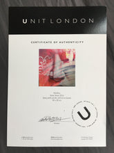 Load image into Gallery viewer, Street Sense Painting PichiAvo