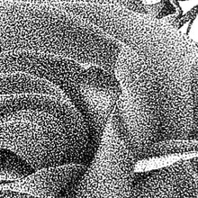 Load image into Gallery viewer, Summer Print Xavier Casalta