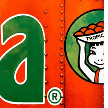 Load image into Gallery viewer, Topic-Ana Print Tim Conlon