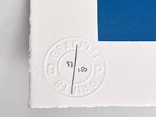 Load image into Gallery viewer, Tulleries Print Fin DAC