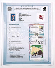 Load image into Gallery viewer, Tulleries Print Fin DAC