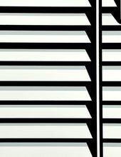 Load image into Gallery viewer, Unfinished Business Print Joshua Vides