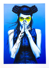 Load image into Gallery viewer, Vergiss Print Fin DAC