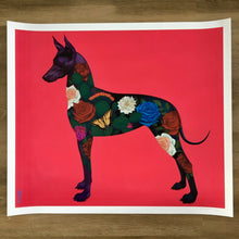 Load image into Gallery viewer, Xolo Print Gustavo Rimada