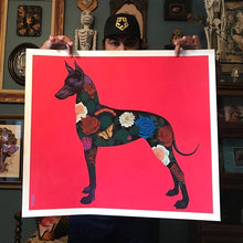 Load image into Gallery viewer, Xolo Print Gustavo Rimada