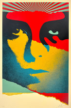 Load image into Gallery viewer, A Cracked Icon Print Shepard Fairey
