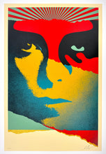 Load image into Gallery viewer, A Cracked Icon Print Shepard Fairey
