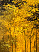 Load image into Gallery viewer, El testigo Print Tomas Sanchez
