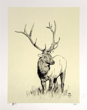 Elk Sketch