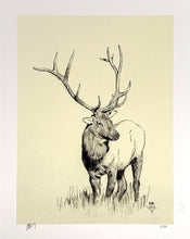 Load image into Gallery viewer, Elk Sketch Print Mark Maggiori
