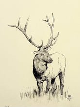 Load image into Gallery viewer, Elk Sketch Print Mark Maggiori
