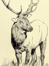 Load image into Gallery viewer, Elk Sketch Print Mark Maggiori
