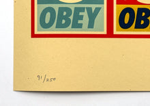 Load image into Gallery viewer, Icon (Repetition with Variation) Print Shepard Fairey
