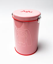 Load image into Gallery viewer, JUJU Designer Plush Blind Box (Sealed) Designer Toy CJ Hendry
